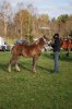 DSC_Balvenie