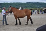 Alma L 23-08-0009 366
