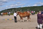 Alva 23-08-0039 045