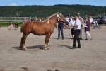 Ramona 23-09-0086 024
