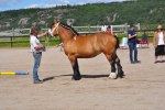 Sepide 23-08-0111 078