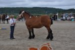 Sibel 23-08-0110 369