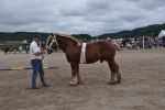 Whiskey 11728 532