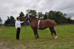 Wilja 23-08-0065 390