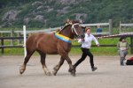 Wilja 23-08-0065 666