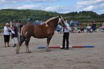 Ängla 116415 188