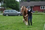Dolly 23-08-0117 224