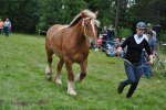Dolly 23-08-0117 227
