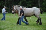Florry 23-08-0062 207