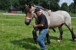Florry 23-08-0062 260