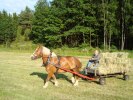 Kjell kör in Hö! Med Ronja