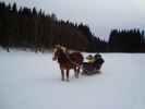Släd tur på Backen Kusk Irenè R