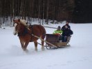 Släd tur på Backen Kusk Irenè R