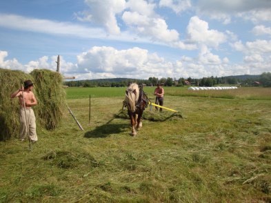 Slåtterdag i Hjortnäs