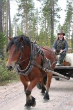 foto: Kristina Sundin