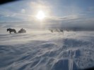 IMG_0717