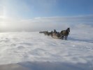IMG_0720