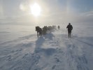 IMG_0721