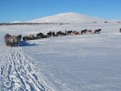 IMG_0508