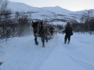 IMG_0456