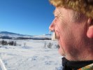 Svein Arild