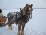 foto: Åge Aasvang