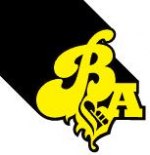 Big air bag logo