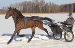 Dominator-2012-feb