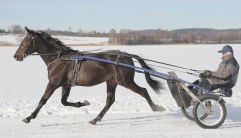 Tenor-2012-feb