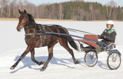 Sweet Frecel-2012-feb