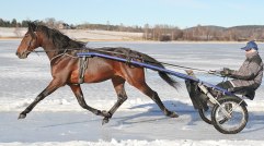 Conqestador BR-2012-feb