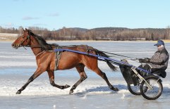 Recless-2012-feb