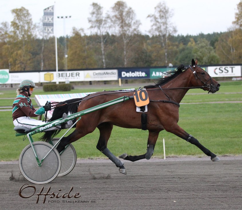 Offside med Olle Goop i sulkyn.