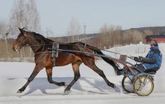 PRELUDIO AS 6 mars 2011