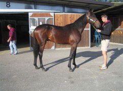 PRELUDIO AS september 2010