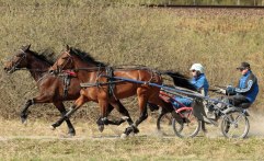 JUNE AVENUE 27 april 2011