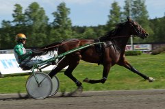 TRISTAN DES BOSC maj 2010