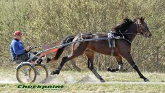 CHECKPOINT 27 april  2011