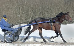 BOWIE BOKO mars 2010