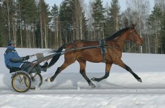 ED RAPIDE 6 mars 2011
