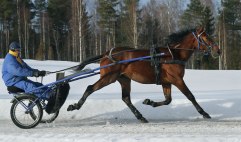 JOHAN ROC 6 mars 2011