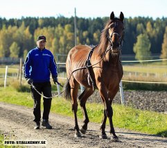 JOHAN ROC tömkörs 29 sept 2010