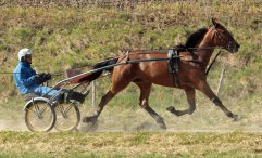 QUELQUE PART 27 april 2011