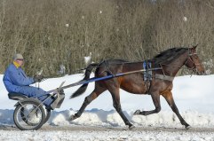 DONGFANGMINGZHU mars 2010