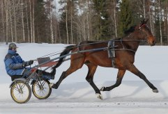 JUNIOR TROY 6 mars 2011