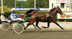 EROS HÅLERYD inför premieloppet 12/7 2010