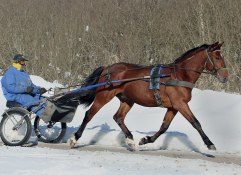 EROS HÅLERYD mars 2010