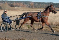 EROS HÅLERYD november 2009