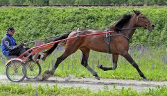 CANDIER 21 juni 2011
