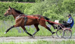 ED RAPIDE 21 juni 2011